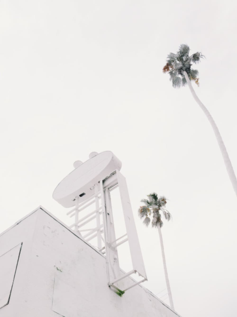 Tumblr nsitcdugjx1rs8w78o1 500