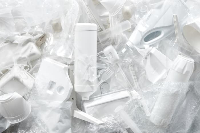 Stocksy txpda5e0044j Ht200 Small 2234230