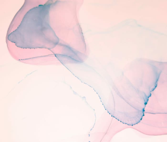 Shutterstock 1842102124 scaled