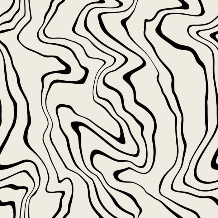 Shutterstock 1897166818