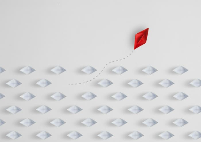 Shutterstock 501987826 scaled