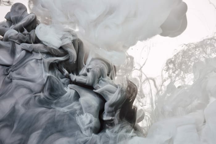 Shutterstock 534175102 scaled